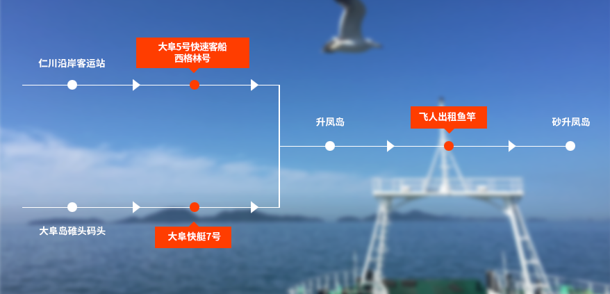 연안여객터미널에서 출발 : 연안여객터미널→대부고속훼리5호→승봉도→개인낚시배대여→사승봉도 大阜岛碓头码头 : 大阜快艇7号→升凤岛→飞人出租鱼竿→砂升凤岛