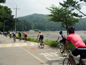 信、矢、茅岛 三兄弟的岛屿之旅