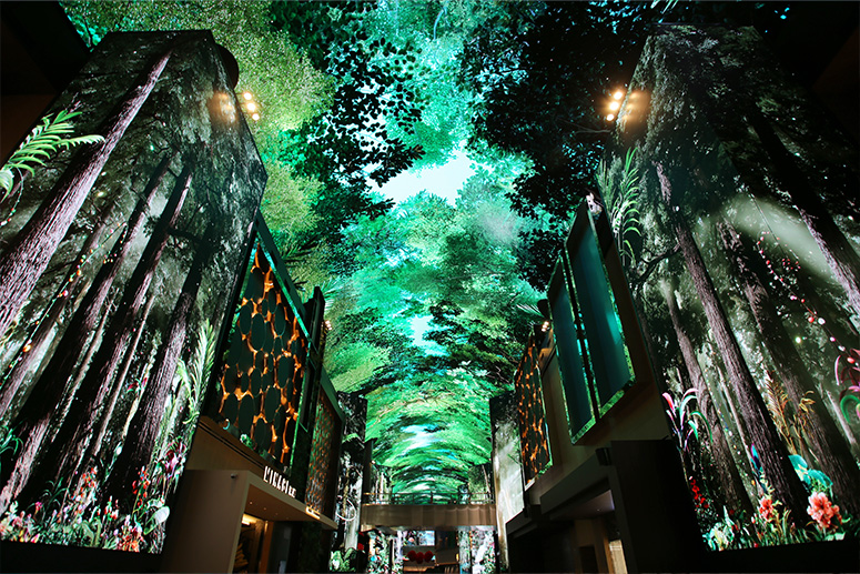main visual images 01