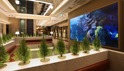 爱丽特整形医院